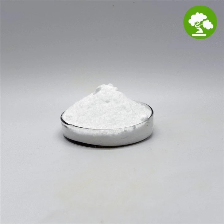 Bitki Bazlı Soya Protein Tozu